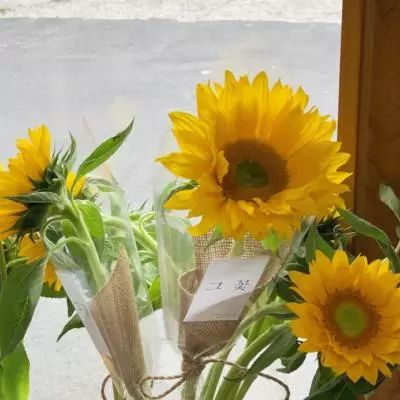 BoB体育平台手机下载